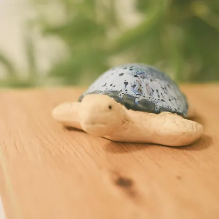 Urban Charme * Triest